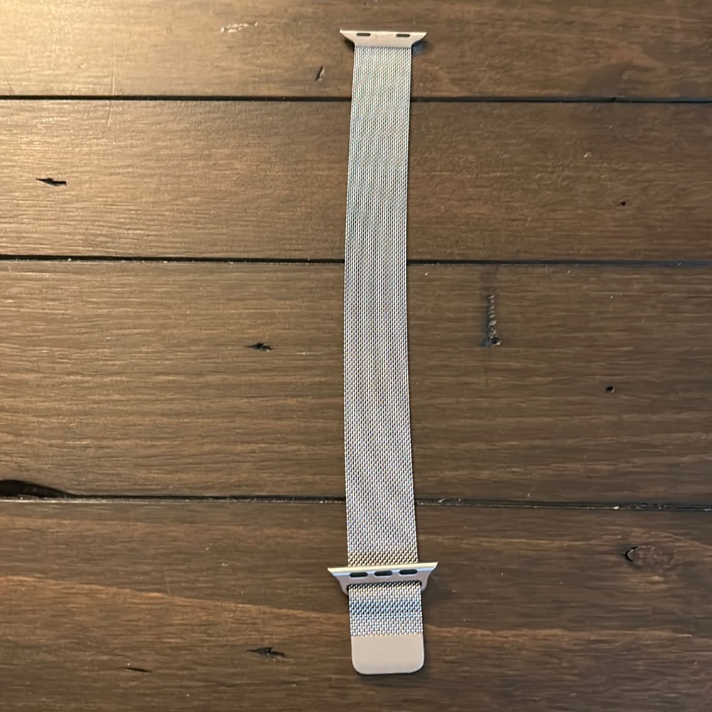 Apple Watch Band (Silver)